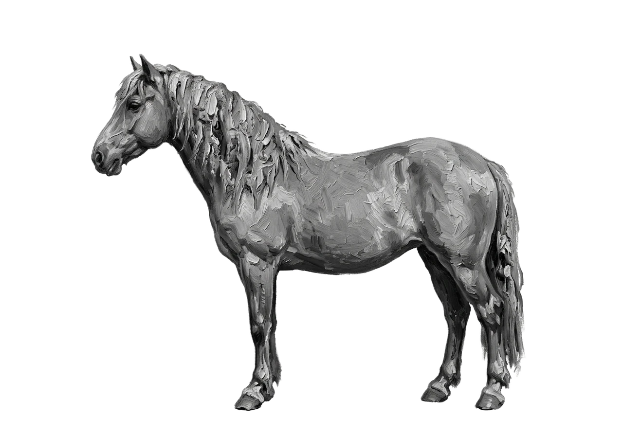 Side view of a Mustang mare, Bay from E/e A/a n/n g/g. Star, front socks. Dark brown eyes.