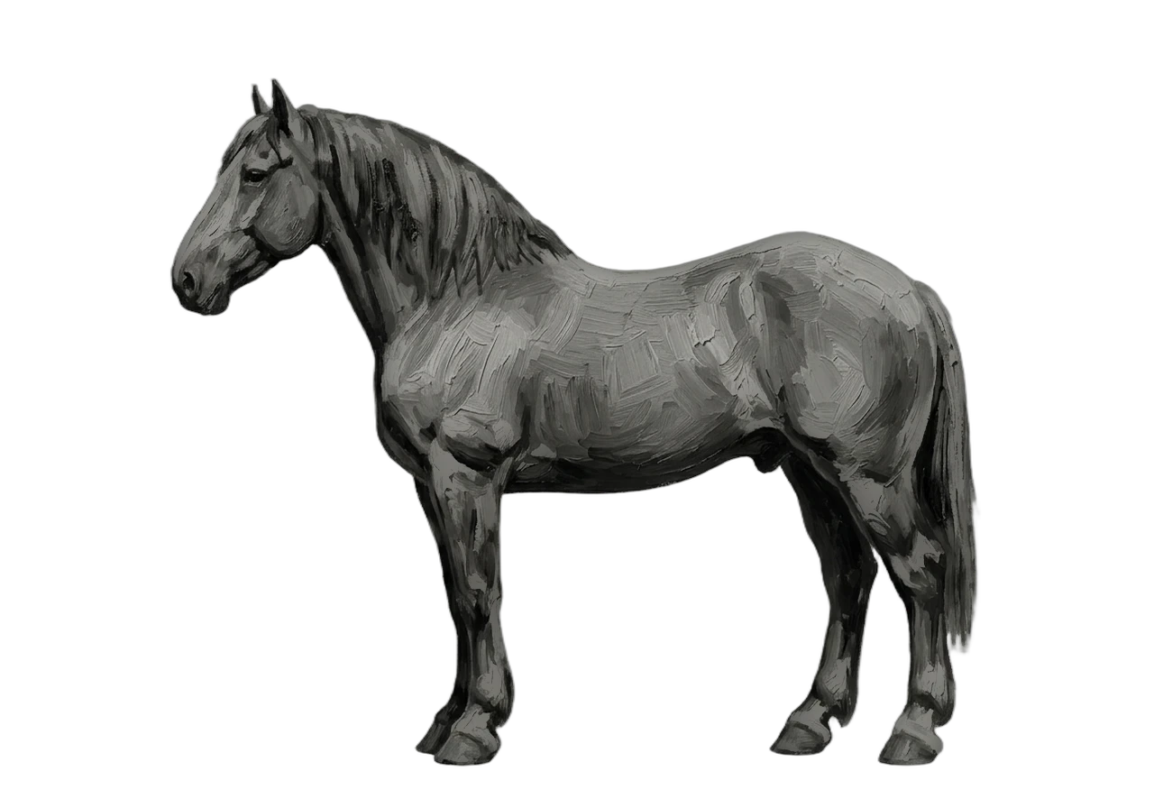 Side view of a Percheron mare, Grey (born black) — G whitens the coat with age, 31% lightened at 7y. Wide blaze, front pasterns, hind stockings. Dark brown eyes.