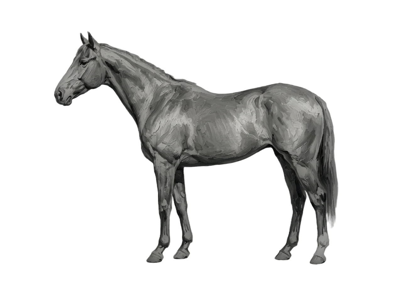 Side view of a Thoroughbred mare, Bay from E/e A/a n/n g/g. Dark brown eyes.