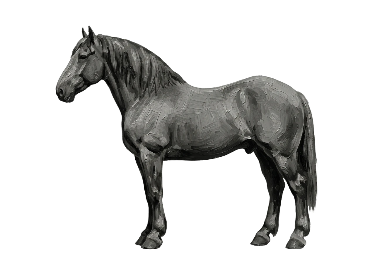 Side view of a Percheron mare, Grey (born black) — G whitens the coat with age, 31% lightened at 7y. front pasterns, hind coronets. Dark brown eyes.