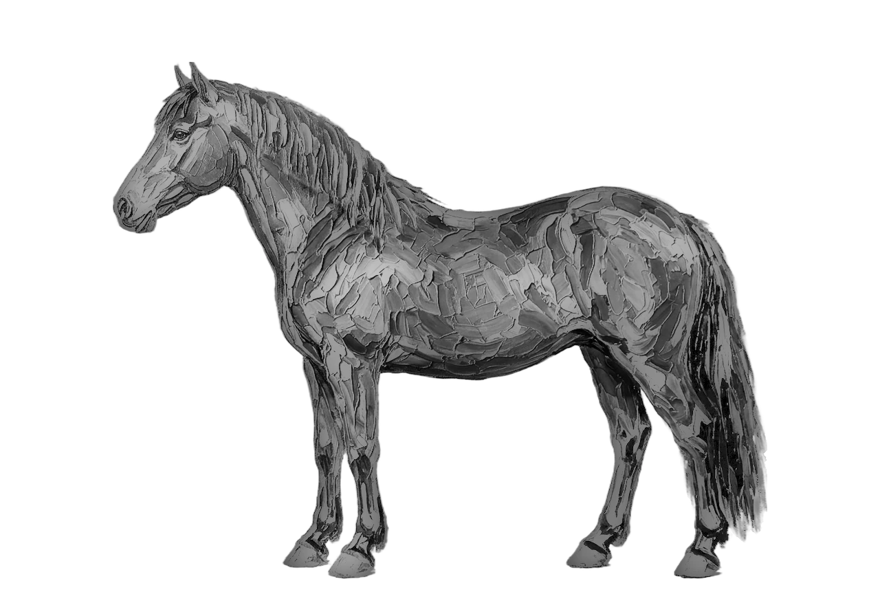 Side view of a Connemara mare, Buckskin from E/e A/a Cr/n g/g. Blaze, hind pasterns. Dark brown eyes.