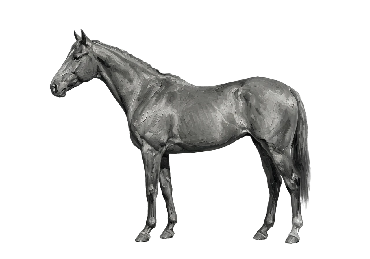 Side view of a Thoroughbred mare, Bay from E/e A/a n/n g/g. Snip, front socks, hind socks. Dark brown eyes.