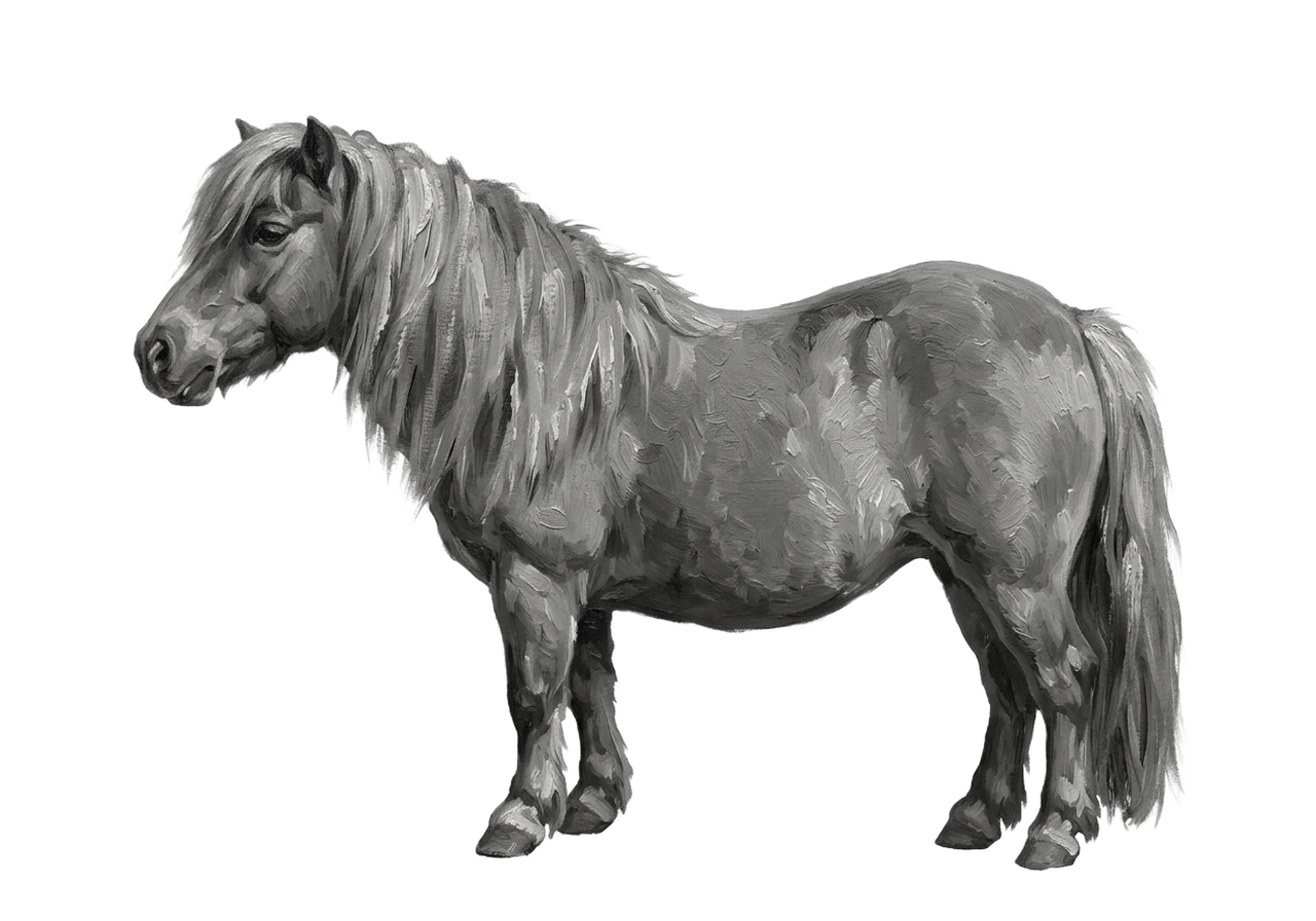 Side view of a Shetland Pony mare, Chestnut from e/e A/a n/n g/g. Star. Dark brown eyes.